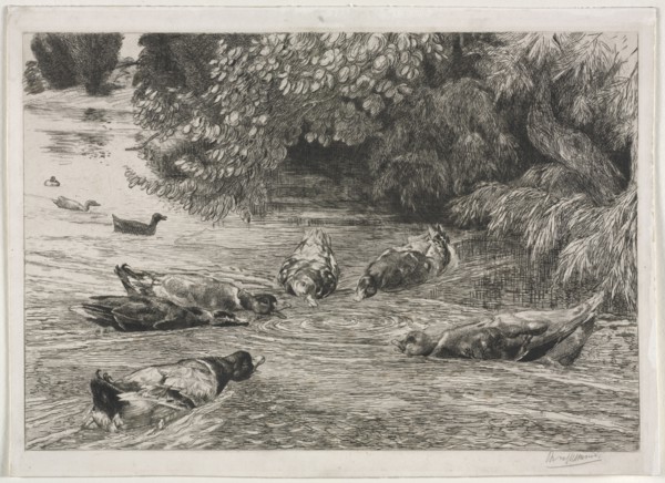 The Question Mark, c. 1865. Félix Bracquemond (French, 1833-1914). Etching, hand colored; sheet: 30