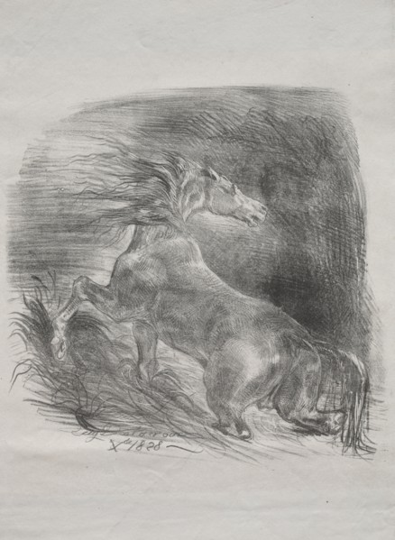 The Wild Horse, or Frightened Horse Leaving the Water, 1828. Eugène Delacroix (French, 1798-1863).