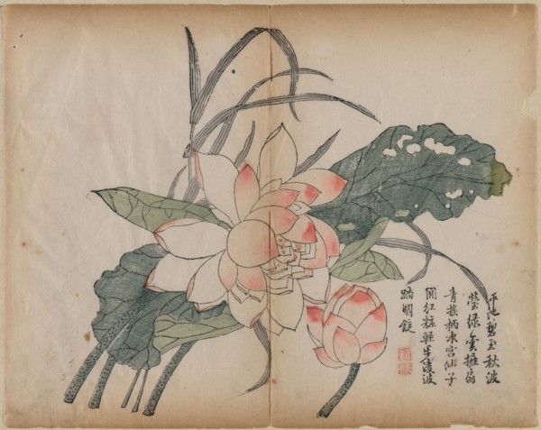 Flowering Lotus and Bud, 18th Century. China, Qing dynasty (1644-1911). Color woodblock print;