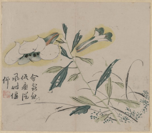 Flowering Lily, 18th Century. China, Qing dynasty (1644-1911). Color woodblock print; overall: 30.1