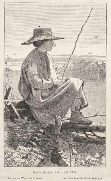 Watching the Crows, 1868. Winslow Homer (American, 1836-1910). Wood engraving
