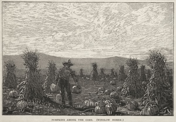 Pumpkins Among the Corn, 1878. Winslow Homer (American, 1836-1910). Wood engraving