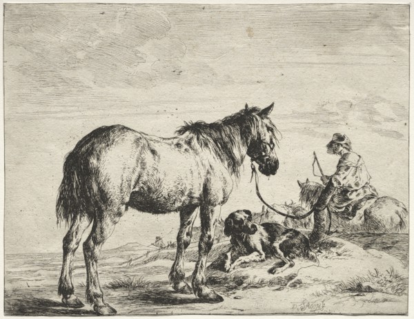 Horse bound to a post. Dirck Stoop (Dutch, c. 1618-1681). Etching