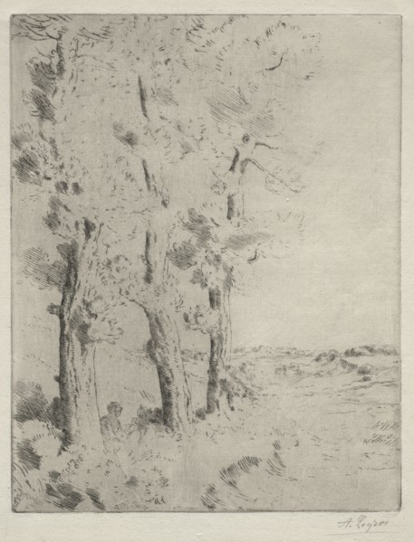 The Reader:  The Lecture under the Trees, c. 1882. Alphonse Legros (French, 1837-1911). Drypoint