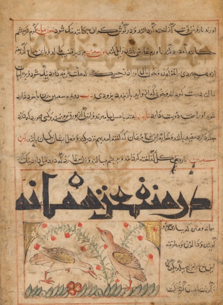 On the Benefits of Quails (verso) from a Manafi' al-Hayawan (On the Usefulness of Animals) of Ibn