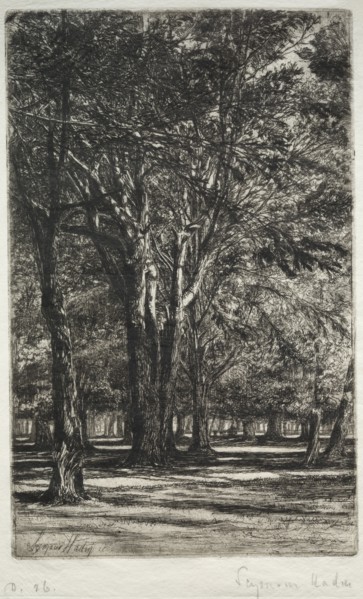 Kensington Gardens (The Larger Plate), 1860. Francis Seymour Haden (British, 1818-1910). Etching