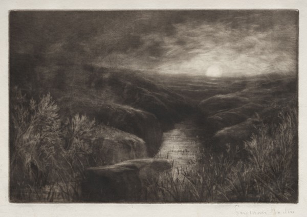 Haunt of the Mosquito. Francis Seymour Haden (British, 1818-1910). Mezzotint