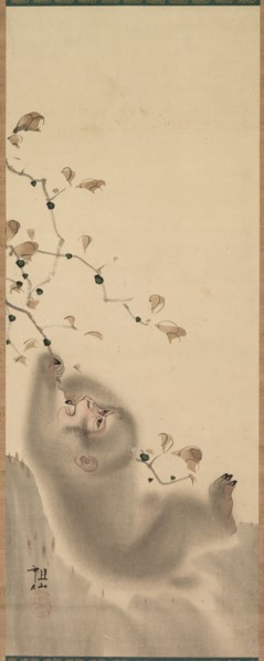 Monkey Hanging on to a Branch, 1780. Mori Sosen (Japanese, 1747-1821). Hanging scroll; color on