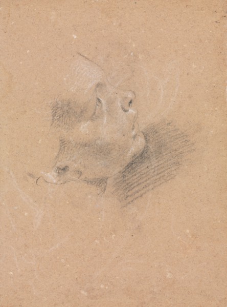 Verona Sketchbook: Female profile (page 65), 1760. Francesco Lorenzi (Italian, 1723-1787). Black