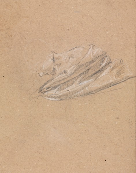 Verona Sketchbook: Head and shoulder with drapery (page 14), 1760. Francesco Lorenzi (Italian,
