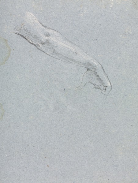 Verona Sketchbook: Right arm and hand (page 95), 1760. Francesco Lorenzi (Italian, 1723-1787).
