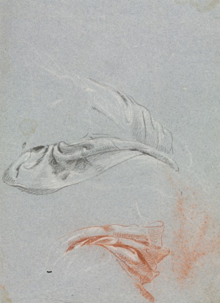 Verona Sketchbook: Drapery studies (page 17), 1760. Francesco Lorenzi (Italian, 1723-1787). Black