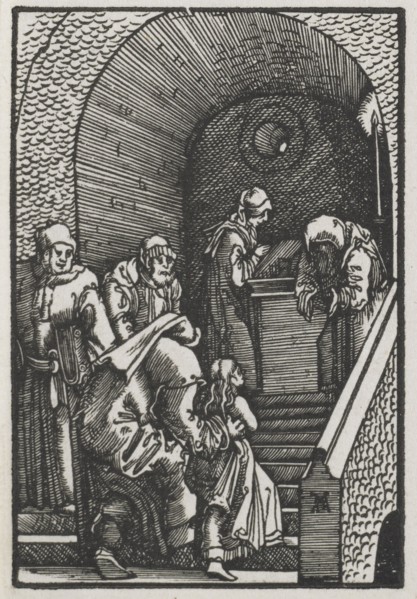 The Fall and Redemption of Man:  The Presentation of the Virgin in the Temple, 1515. Albrecht
