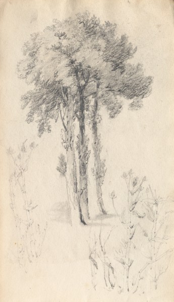 Sketchbook: Tree Study, 1814. Samuel Prout (British, 1783-1852). Graphite ; each page: 13.5 x 23.4