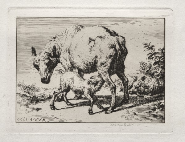 The Ewe with Two Lambs, 1850. Charles Meryon (French, 1821-1868). Etching