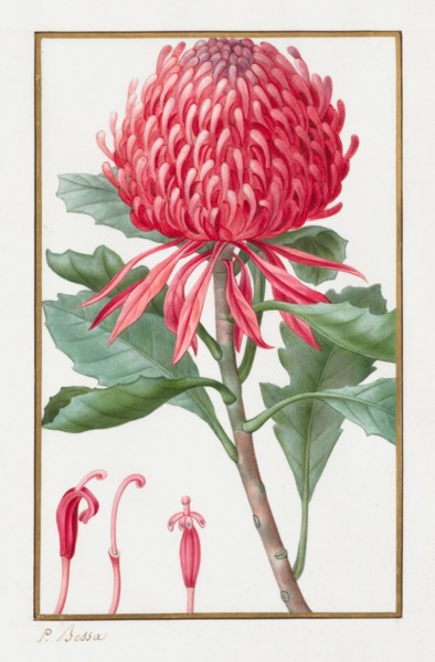 Untitled, 1828-1835. Pancrace Bessa (French, 1772-1846). Pencil and watercolor;