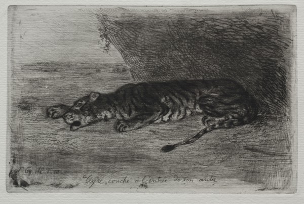 Tigre couché à l'entrée de son antre. Eugène Delacroix (French, 1798-1863). Etching