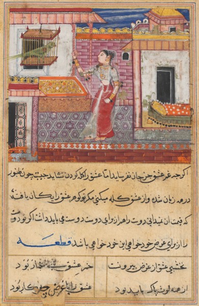Page from Tales of a Parrot (Tuti-nama): Thirteenth night: The parrot addresses Khujasta at the