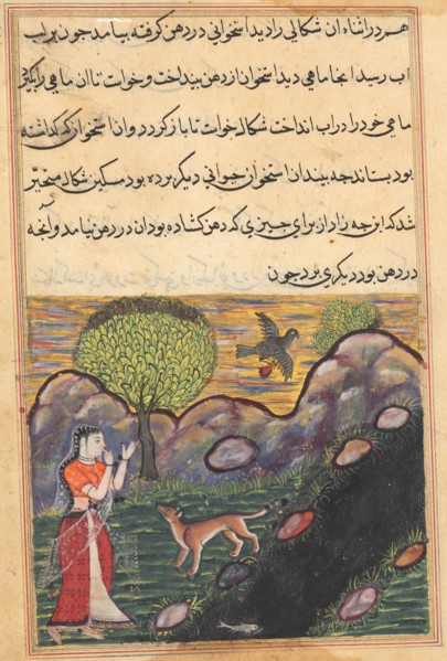 Page from Tales of a Parrot (Tuti-nama): Sixteenth night: The daughter-in-law of the king of