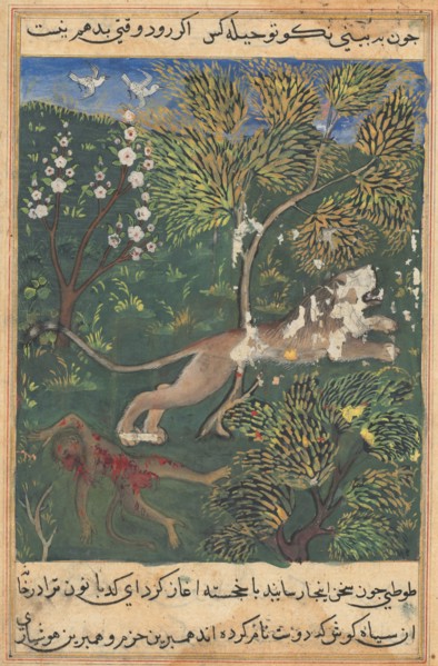 Tuti-Nama (Tales of a Parrot): Tale XXIX, c. 1560. India, Mughal, Reign of Akbar, 16th century.