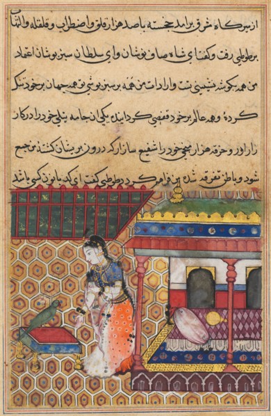 Page from Tales of a Parrot (Tuti-nama): Thirty-eight night: The parrot addresses Khujasta at the