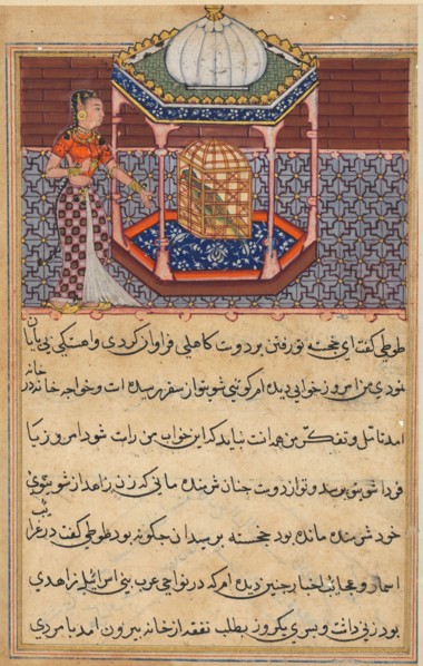 Page from Tales of a Parrot (Tuti-nama): Fifty-second night: The parrot addresses Khujasta at the