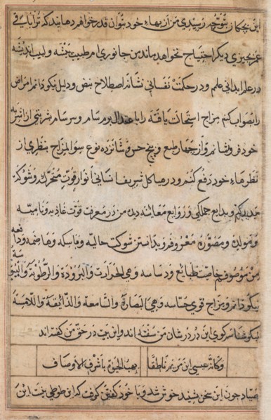 Page from Tales of a Parrot (Tuti-nama): text page, c. 1560. Attributed to Basavana (Indian, active