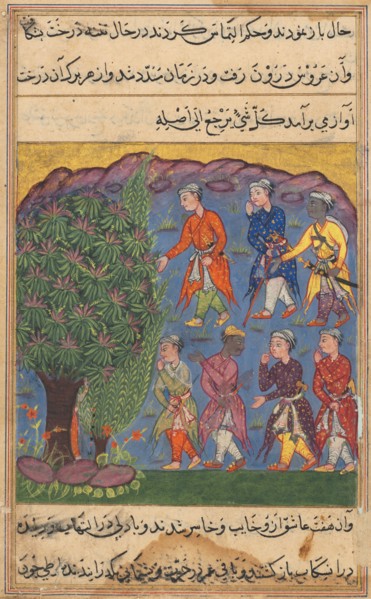 Page from Tales of a Parrot (Tuti-nama): Sixth night: Seven men disputing possession of a woman
