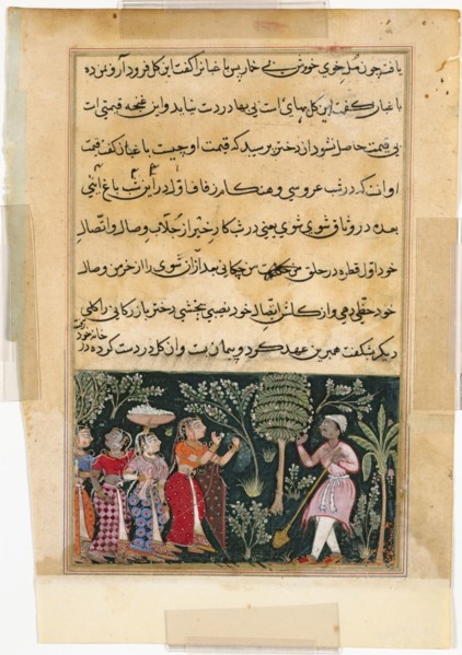 Page from Tales of a Parrot (Tuti-nama): Twelfth night: The daughter of the merchant of Mazanderan