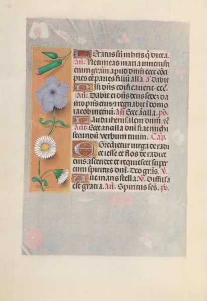 Hours of Queen Isabella the Catholic, Queen of Spain:  Fol. 160v, c. 1495-1500. And associates