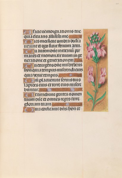 Hours of Queen Isabella the Catholic, Queen of Spain:  Fol. 207r, c. 1500. And associates Master of