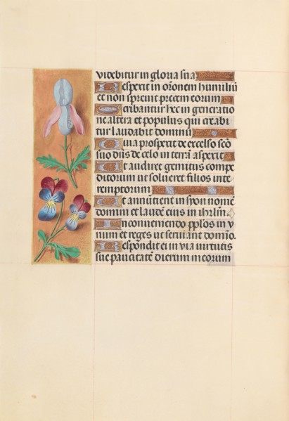 Hours of Queen Isabella the Catholic, Queen of Spain:  Fol. 207v, c. 1495-1500. And associates