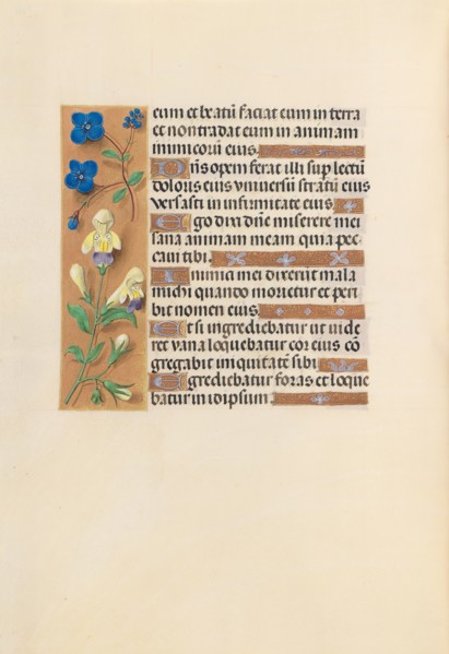 Hours of Queen Isabella the Catholic, Queen of Spain:  Fol. 241v, c. 1495-1500. And associates