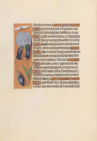 Hours of Queen Isabella the Catholic, Queen of Spain:  Fol. 247v, c. 1500. And associates Master of