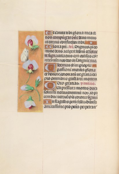 Hours of Queen Isabella the Catholic, Queen of Spain:  Fol. 74v, c. 1500. And associates Master of