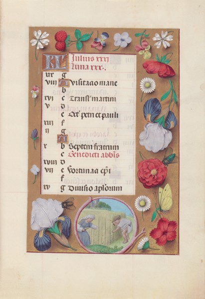Hours of Queen Isabella the Catholic, Queen of Spain:  Fol. 8r, July - Harvesting Wheat, c. 1500.