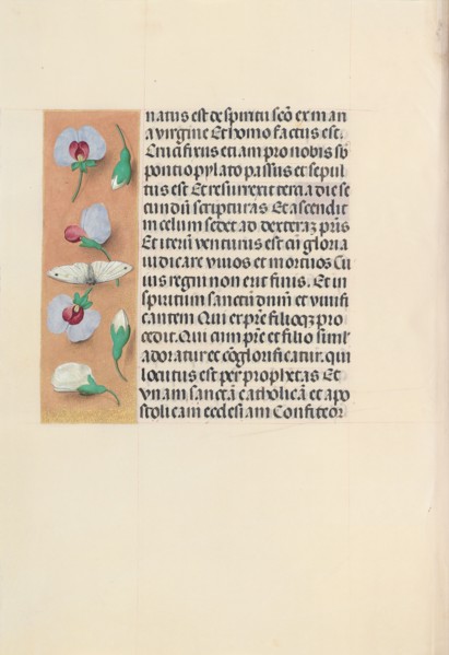 Hours of Queen Isabella the Catholic, Queen of Spain:  Fol. 91v, c. 1495-1500. And associates