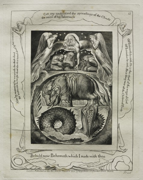 The Book of Job:  Pl. 15, Behold now Behemoth which I made with thee, 1825. William Blake (British,