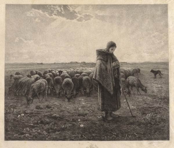 La Bergerie, 1885. Benjamin-Louis-Auguste Damman (French, 1835-1921). Etching