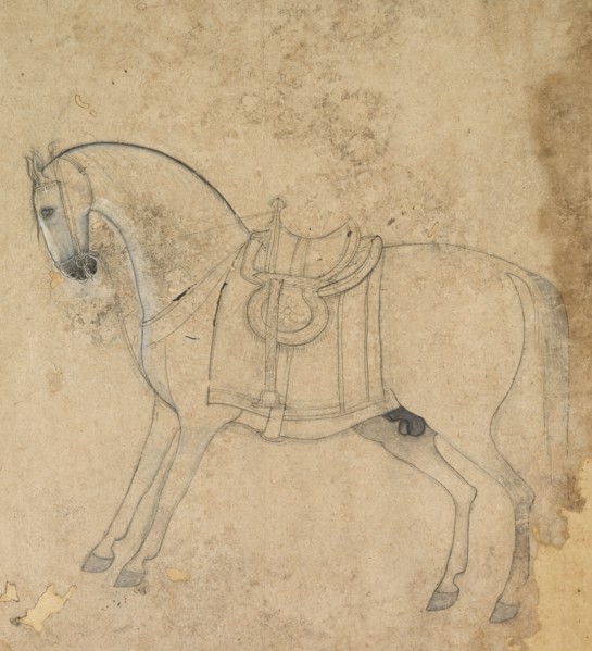 A Saddled Horse, c. 1750. India, Pahari, Jammu, 18th century. Ink on paper; overall: 24.5 x 21.5 cm