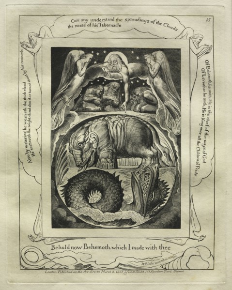 The Book of Job:  Pl. 15, Behold now Behemoth which I made with thee, 1825. William Blake (British,
