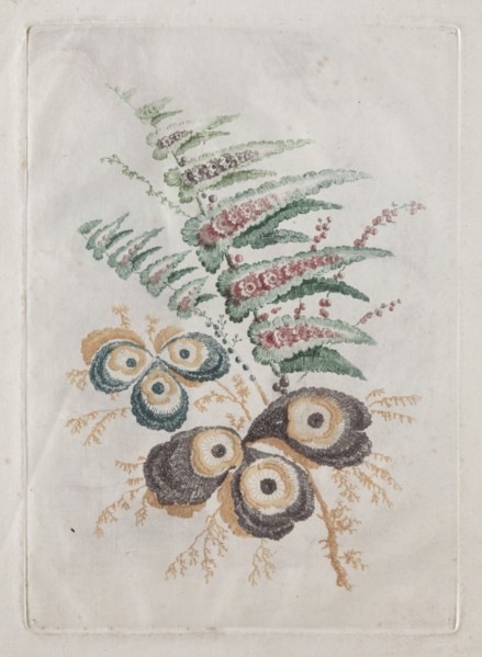 New Suite of Portfolios of Flowers Ideal to Use for Designing and Painting: Floral Fantasies, c.