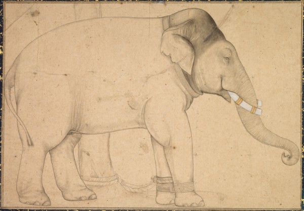 Drawing of an Elephant, c. 1700. India, Mughal School, early 18th Century. Ink on paper; image: 12