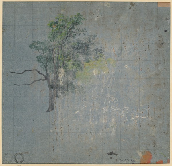 Tree Studies, first half 1800s. Johann Jacob Dorner (German, 1775-1852). Gouache; squared in