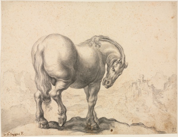 Study of a Stallion, first third 18th century?. Giovanni Battista Foggini (Italian, 1652-1725).