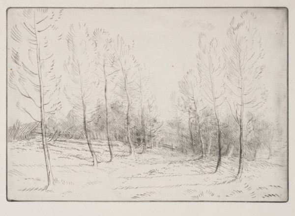 Avenue of Poplars. Alphonse Legros (French, 1837-1911). Drypoint