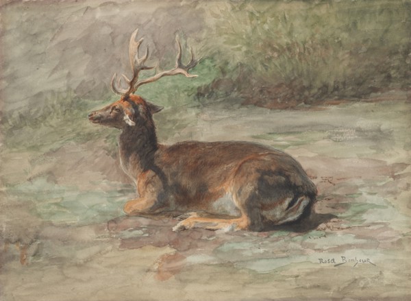 Recumbent Stag, second half 19th century. Rosa Bonheur (French, 1822-1899). Watercolor and gouache