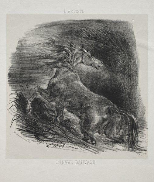 The Wild Horse, or Frightened Horse Leaving the Water, 1828. Eugène Delacroix (French, 1798-1863),