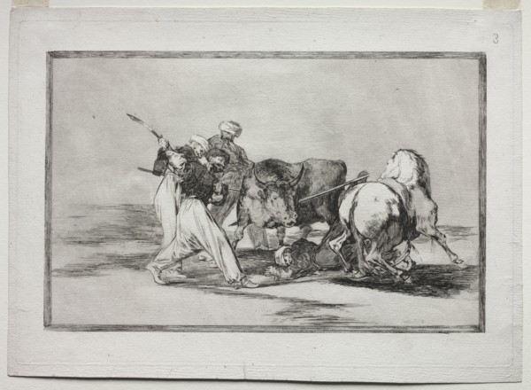 The Moors Settled in Spain, Giving Up the Superstitions of the Koran, Adopted this Art of Hunting,