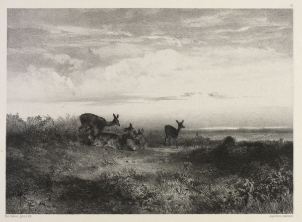 Landscape with Deer, c. 1840. Karl Bodmer (Swiss, 1809-1893). Lithograph